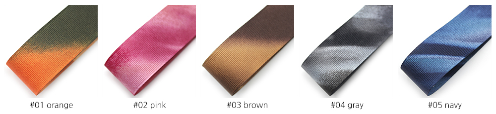 ribel_ribbon_special02_color.jpg